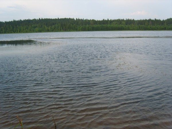 S8304171.JPG