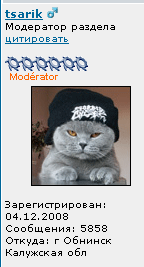 111.png