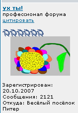 111.png