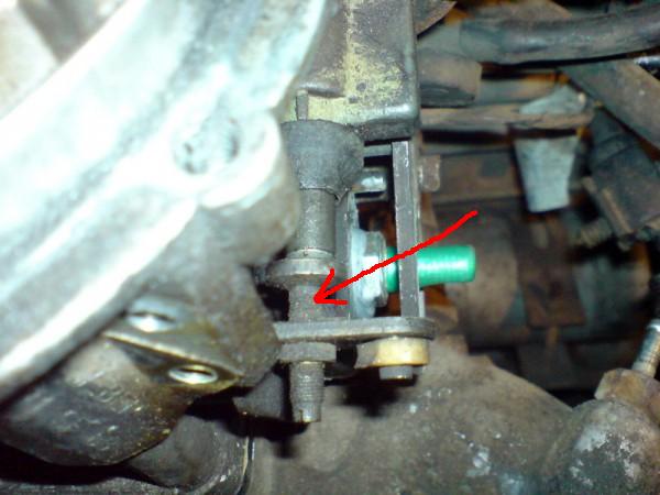 t_5_550.jpg