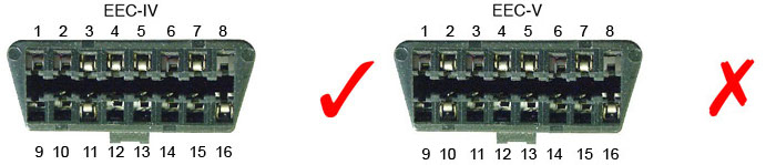 sockets.jpg