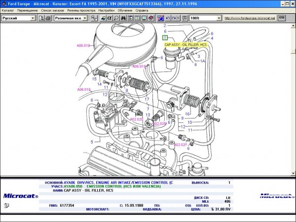 WF0FXXGCAFTS13366.JPG