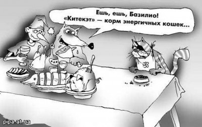 karjpg_1703623_5552963.jpg