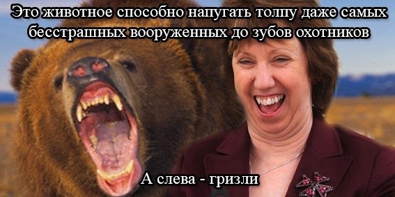 14nUj7vWNnk.jpg