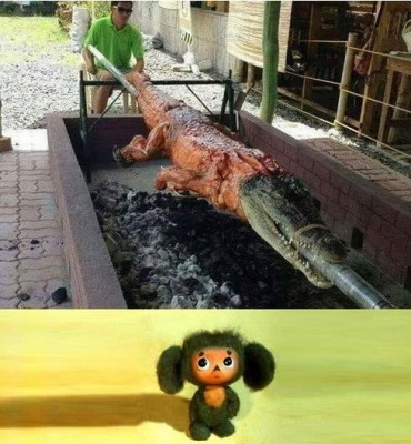 tN1VQCZcpts.jpg