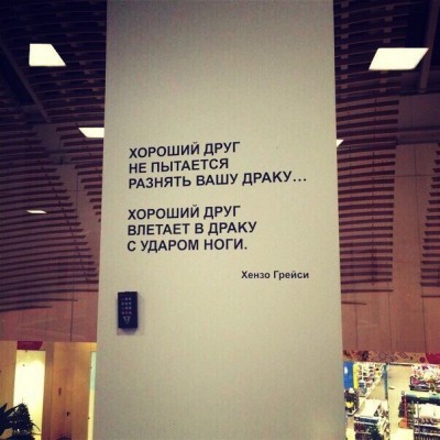 W0oyzcei6g_8557947_19714381.jpg