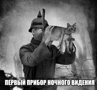мурмур.jpg