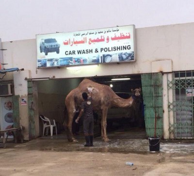 ecbc5e97baa6.jpg