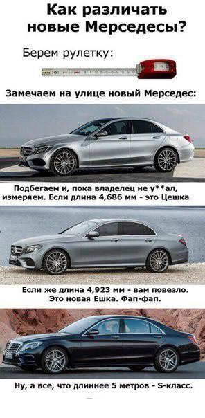 7437391.jpg