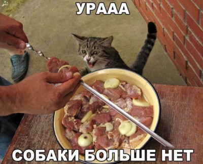 zBx5fRz2EcI.jpg