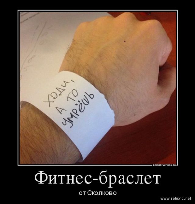 41y1iyv61lybu0minxw4b38fl.jpg