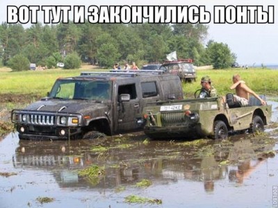 7994079.jpg