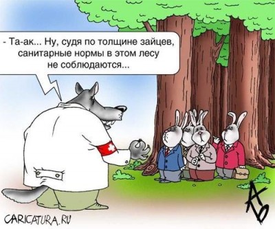 1337022055_d_22.jpg