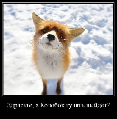 post-34468-0-12494400-1397140229.jpg