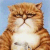 animal000.gif