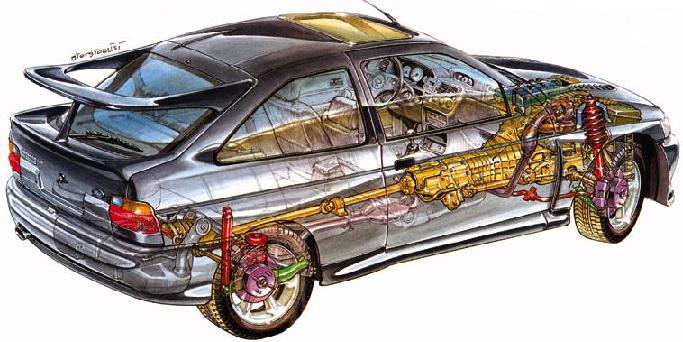 Coss-02.jpg