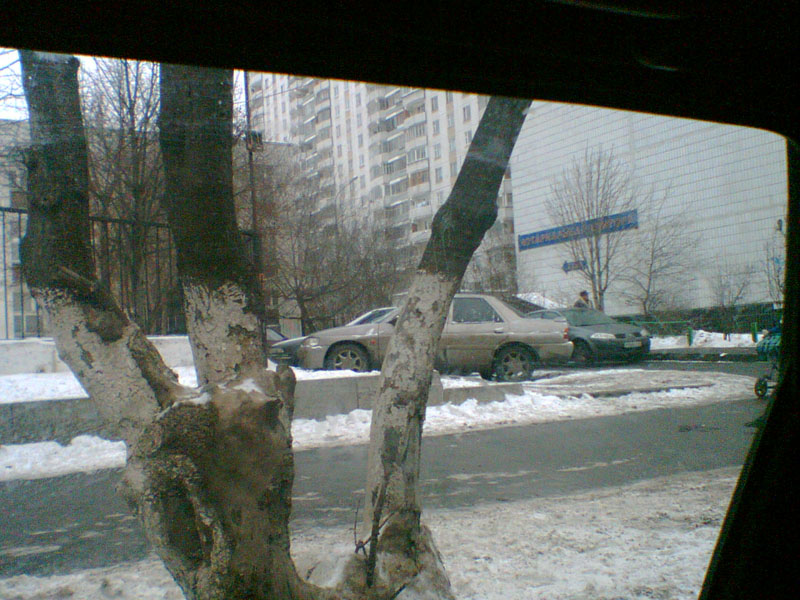 волжский бульвар.jpg