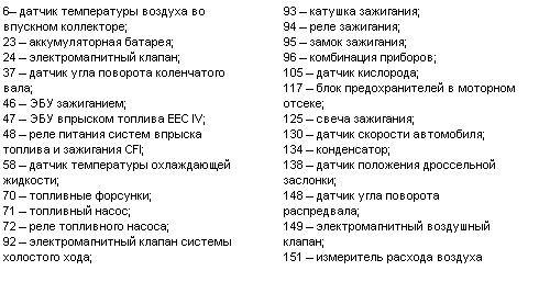 зетек.JPG