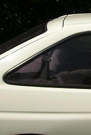 DSCN0561.JPG