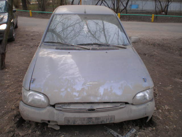 P4020324.JPG