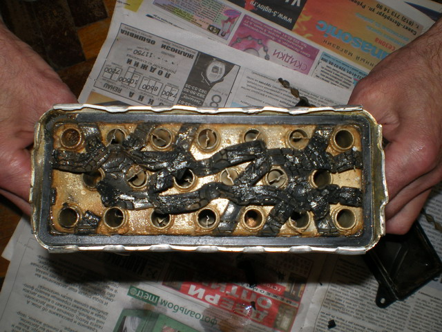 IMGP0852-1.jpg