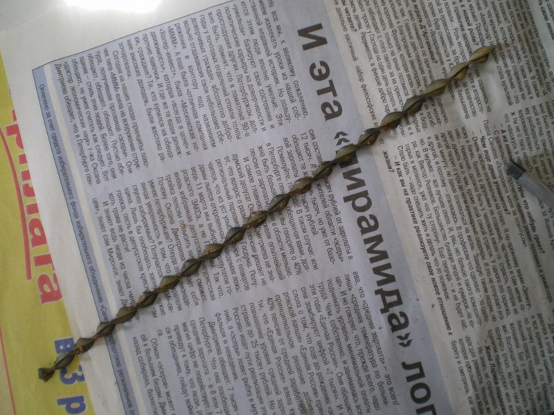 IMGP085-1.jpg