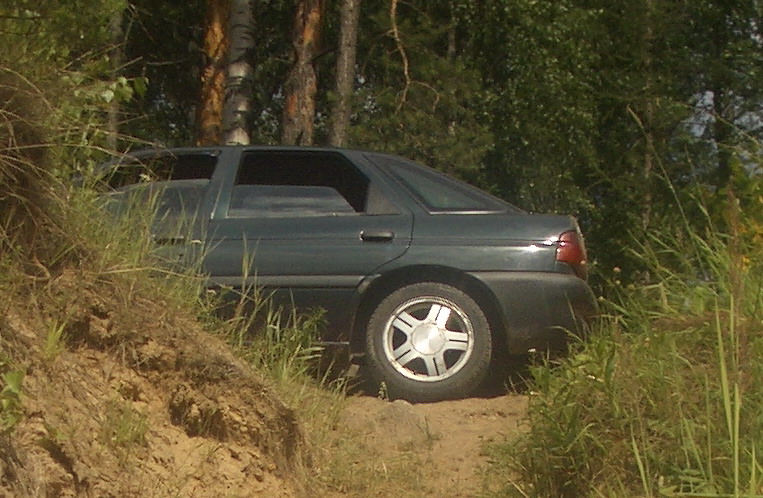IMGP0355.jpg