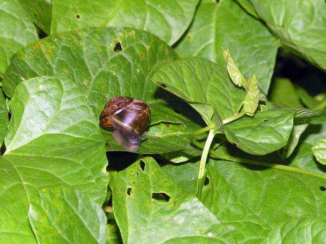 PICT4317.JPG