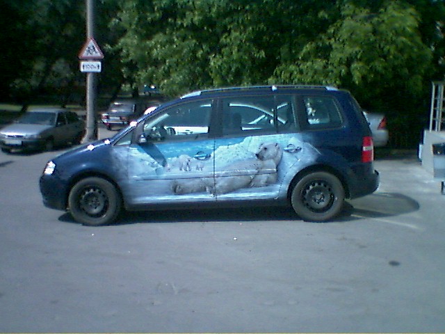 medv.jpg