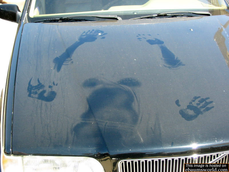 carsex.jpg