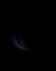 12974415334177ef2b02f341ng.gif